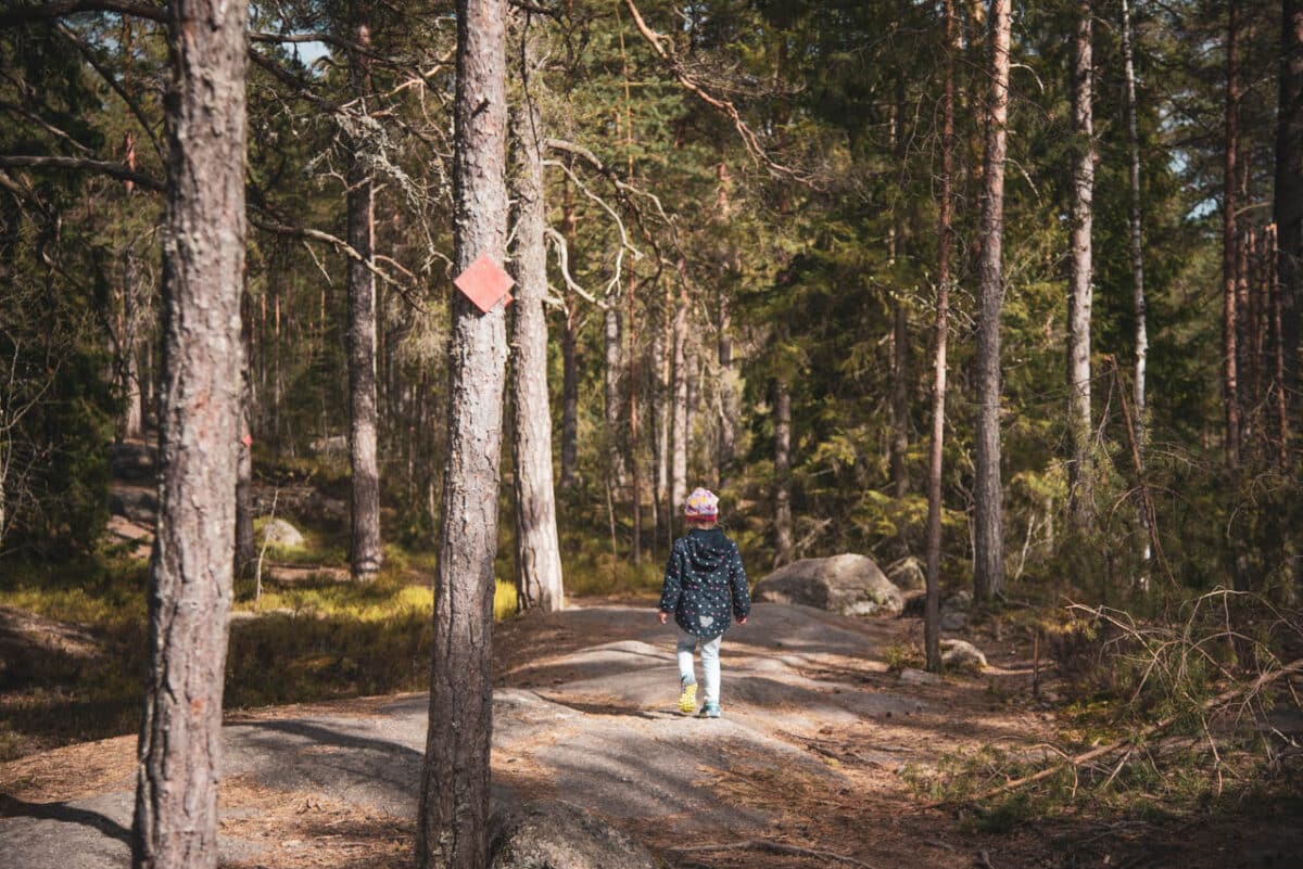 Punarinnankierros Runde Stippvisite Im Nuuksio Nationalpark In