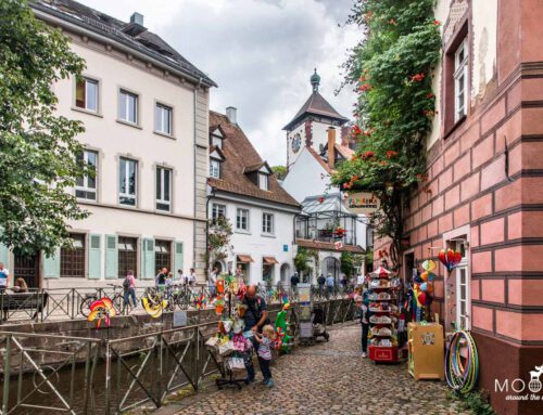 Reiseguide Freiburg | Über 20 Tipps für Deinen Familienurlaub im Schwarzwald  