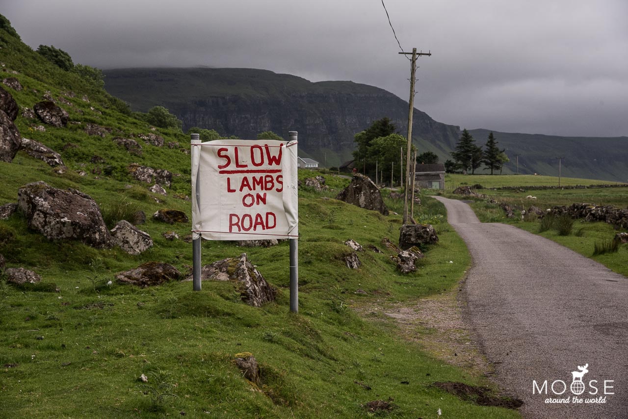 Ein Roadtrip auf der Isle of Mull – und ein Nachmittag auf Iona
