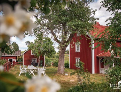 Småland mit Kindern | Über 10 Tipps für deinen Familienurlaub in Schweden