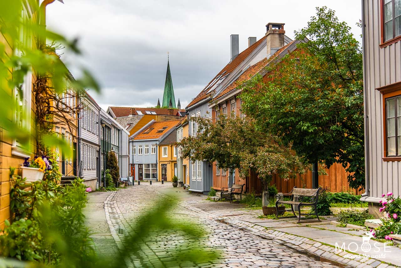 Trondheim Norwegen Reisetipps Städtereise