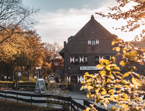 Rundwanderung vom Borner See nach Brüggen am Niederrhein