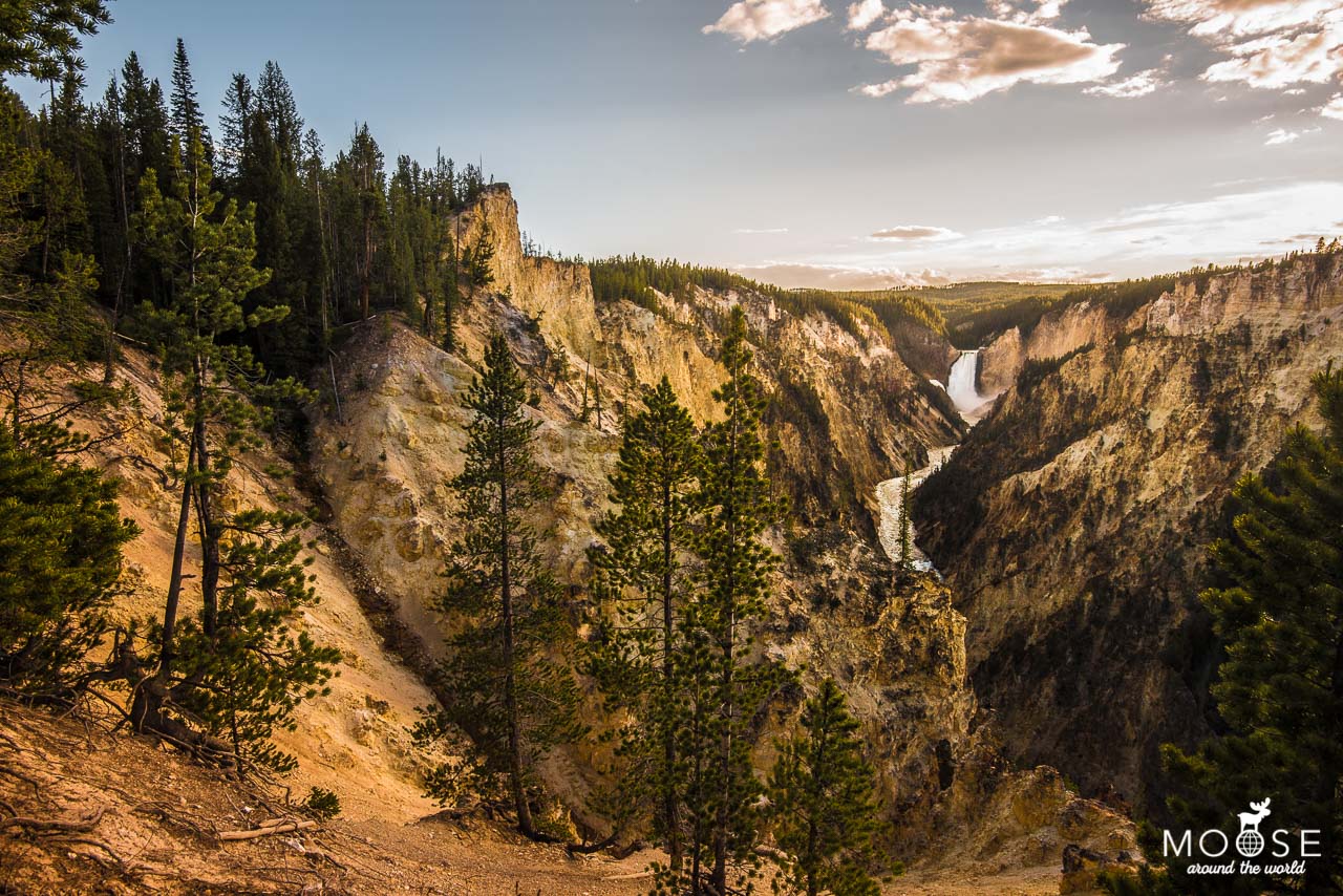 10 Tipps für den Yellowstone Nationalpark