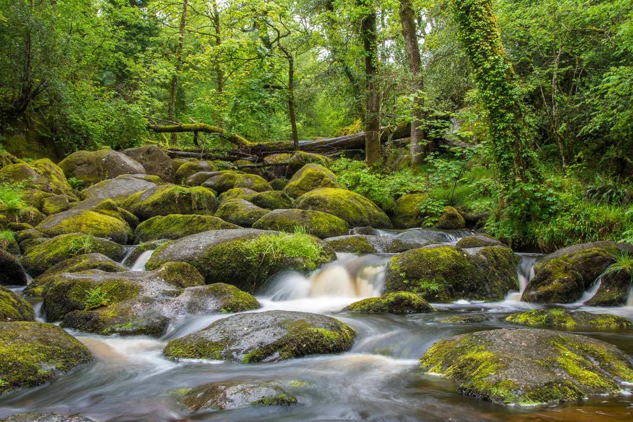 Dartmoor Nationalpark England