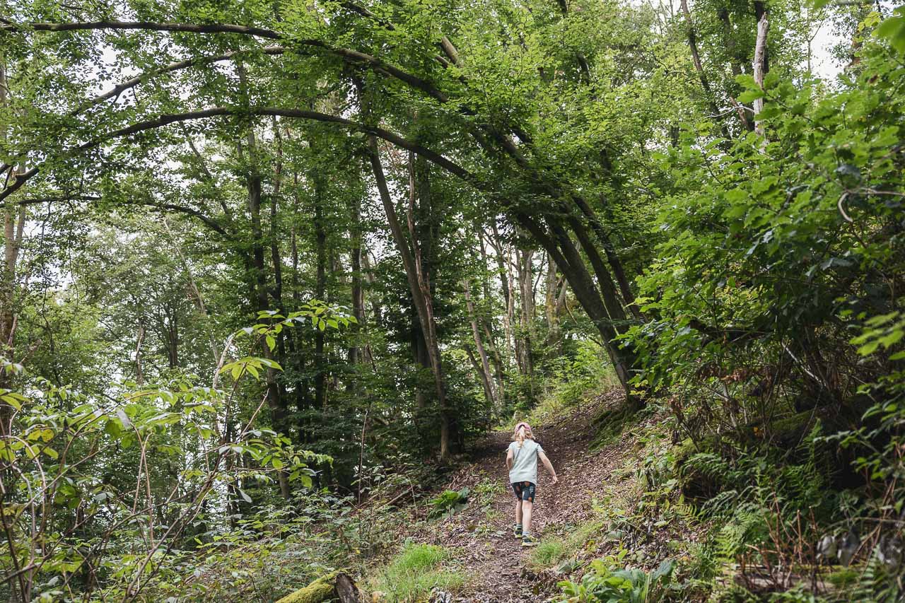 Künstlerpfad Windeck Herchen Abenteuerwanderung Familienwanderung NRW