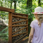 Wanderung Ausflug Mettingen Köllbachtal Waldkugelbahn mit Kindern mobil NRW Entdecken