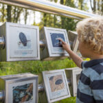 Wanderung Ausflug Monheim Naturerlebnispfad mit Kindern mobil NRW Entdecken