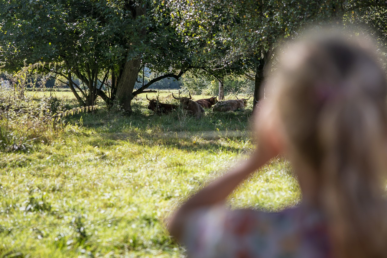 Wanderung Ausflug Monheim Naturerlebnispfad mit Kindern mobil NRW Entdecken