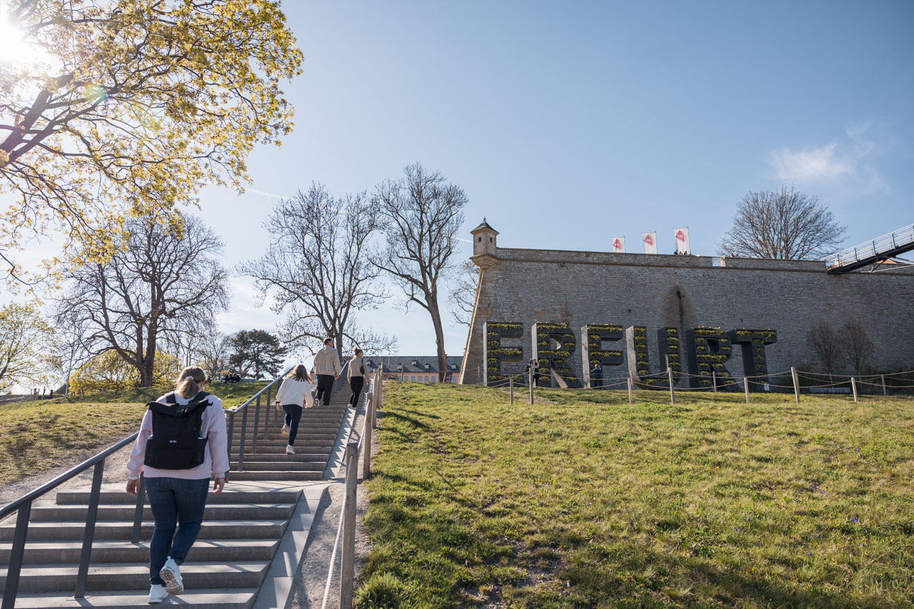 Erfurt Hollywood Sign Petersberg