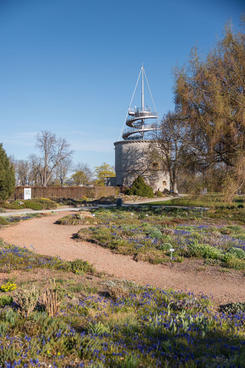 egapark Erfurt mit Kindern Aussichtsturm