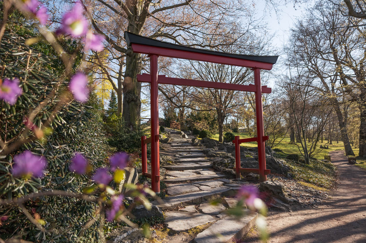 egapark Erfurt Japanischer Garten Park Erfurt mit Kindern
