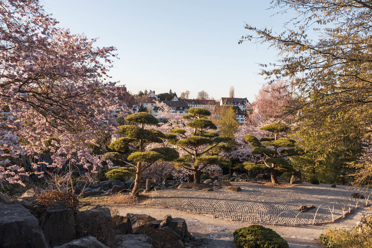 egapark Erfurt Japanischer Garten Park Erfurt mit Kindern