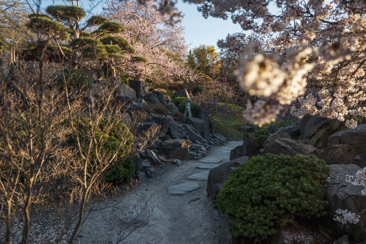 egapark Erfurt Japanischer Garten Park Erfurt mit Kindern